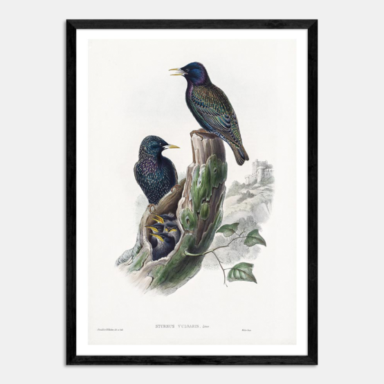Original Artwork 6 - Image 5